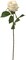 48-Pack: Rose Bud Stem with Realistic Silk Foliage by Floral Home®